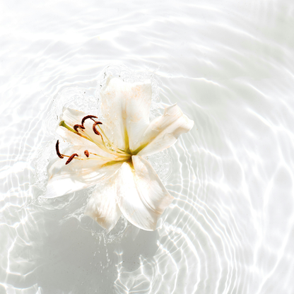 Vanilla Frost: Holiday Scented Shower Gel to Soothe, Hydrate, and Delight